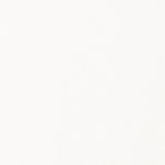 Iseo Floral Logo T-Shirt Women